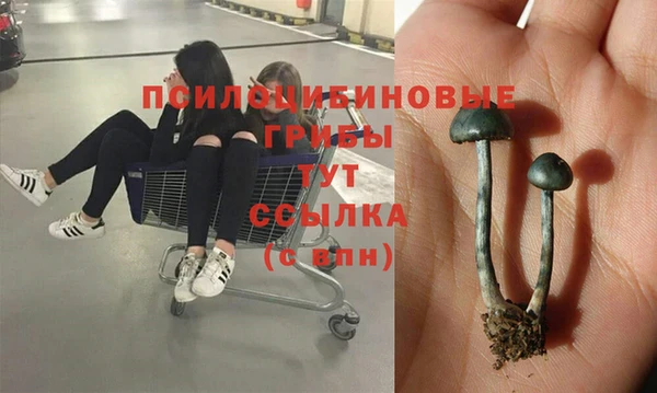 СК Алексеевка
