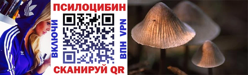 Галлюциногенные грибы Psilocybe  Орск 